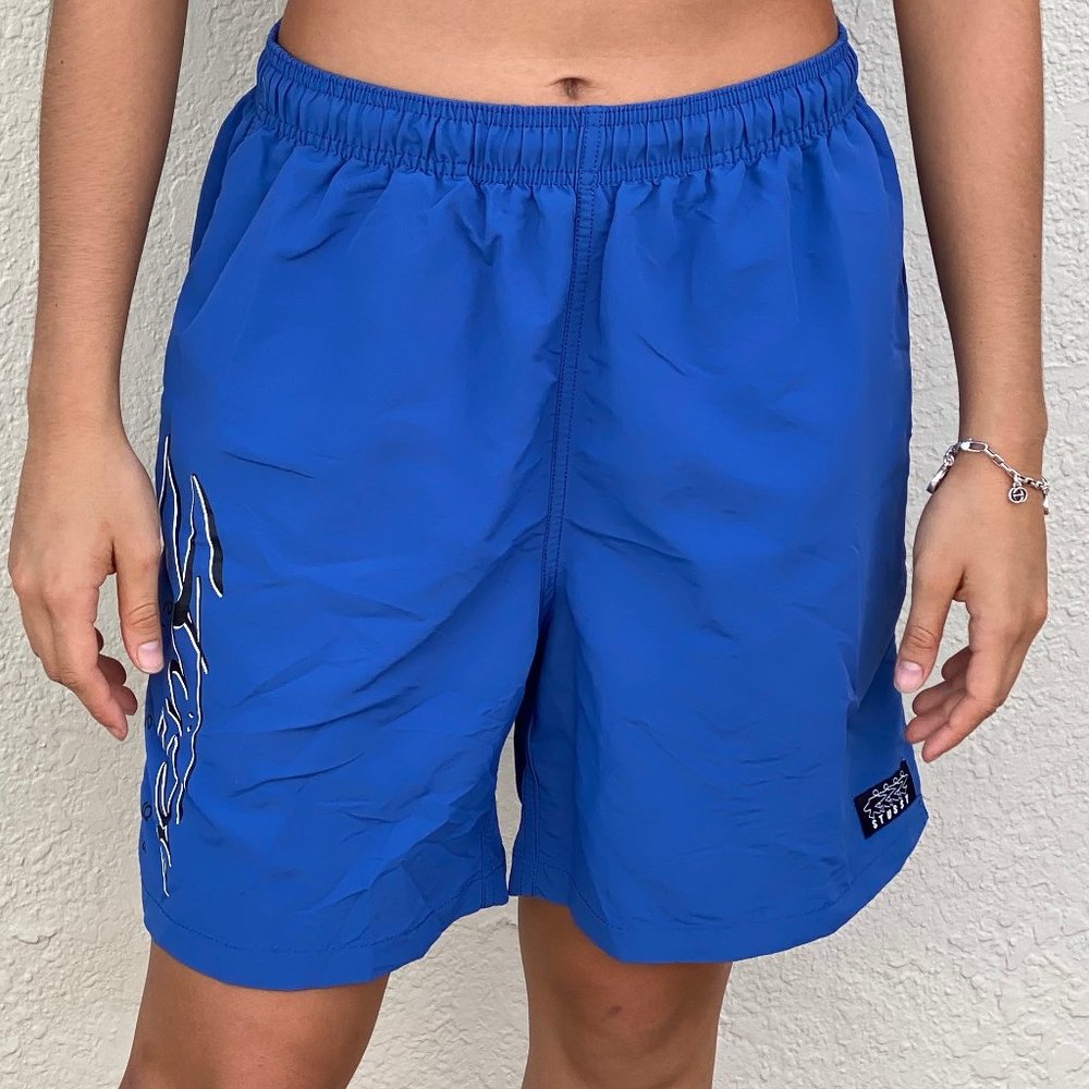 Stussy Cobalt Board Shorts / Trunks